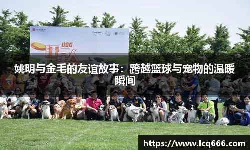 姚明与金毛的友谊故事：跨越篮球与宠物的温暖瞬间