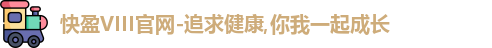 快盈VIII